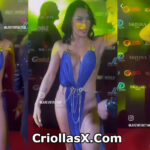 Ana del Castillo famosa colombiana con vestido pequeño: famosos colombianos