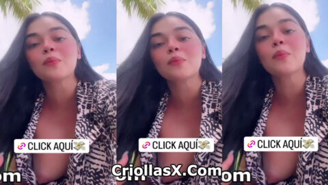 El descuido de la seguridad muestra una cacería en la historia en Telegram